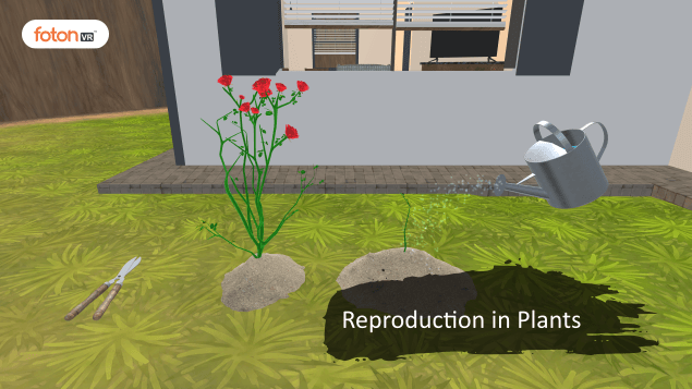 A Virtual Tour of Chapter 12 Reproduction in Plants