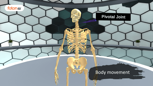 A Virtual Tour of Chapter 8 Body Movements
