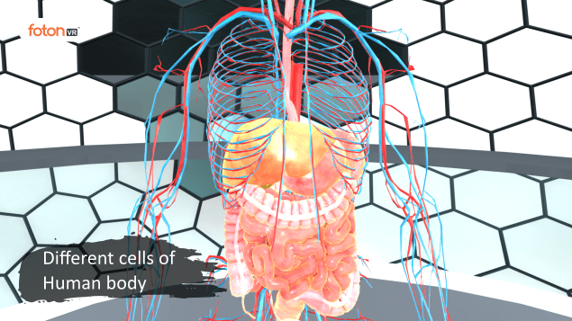 Virtual tour 1 Different cells of Human body