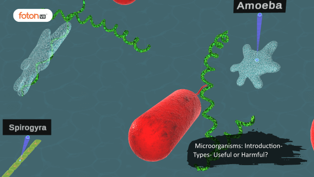 Virtual tour 1 Microorganisms Introduction- Types- Useful or Harmful
