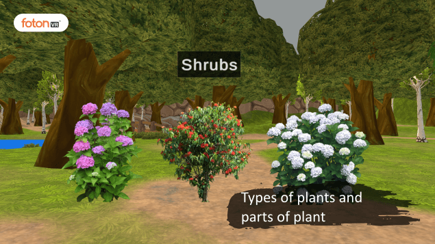 Virtual tour 1 Types of plants and parts of plant