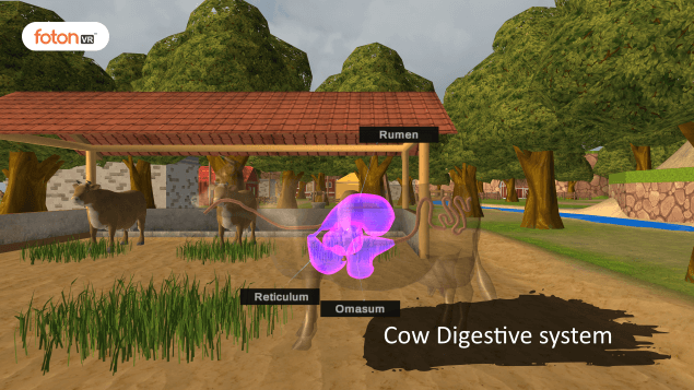 Virtual tour 2 Cow Digestive system