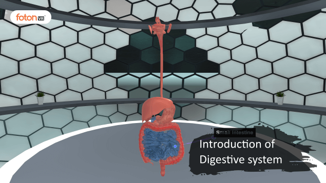 Virtual tour 2 Introduction of Digestive system