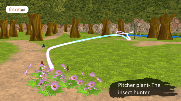 Virtual tour 2 Pitcher plant- The insect hunter