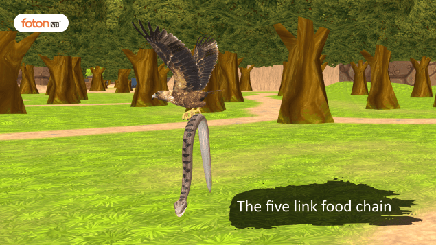 Virtual tour 2 The five link food chain