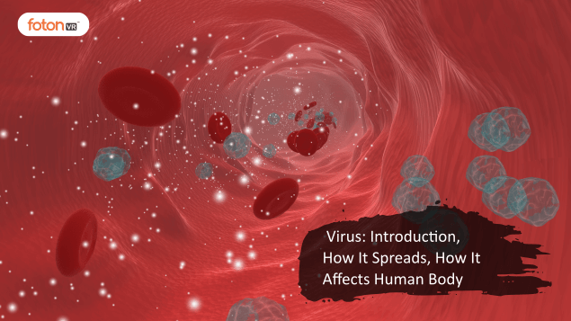 Virtual tour 2 Virus Introduction, How It Spreads, How It Affects Human Body