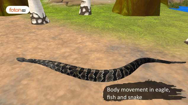 Virtual tour 3 Body movement in eagle, fish and snake