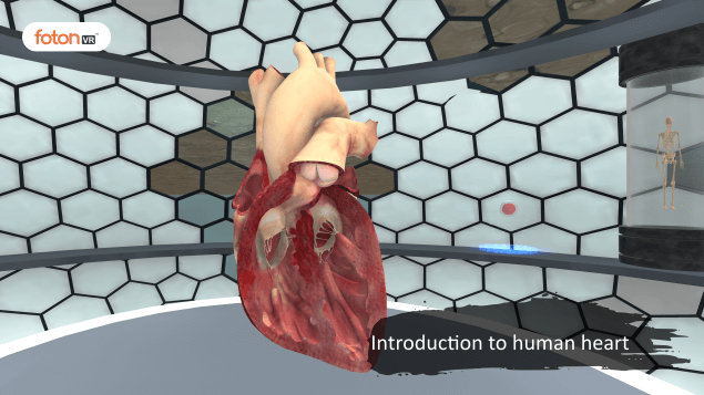 Virtual tour 3 Introduction to the human heart