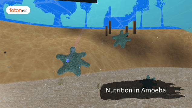 Virtual tour 3 Nutrition in Amoeba