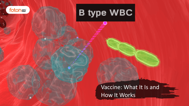 Virtual tour 4 Vaccine What It Is and How It Works