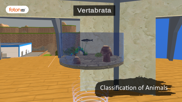 Virtual tour 4 Classification of Animals