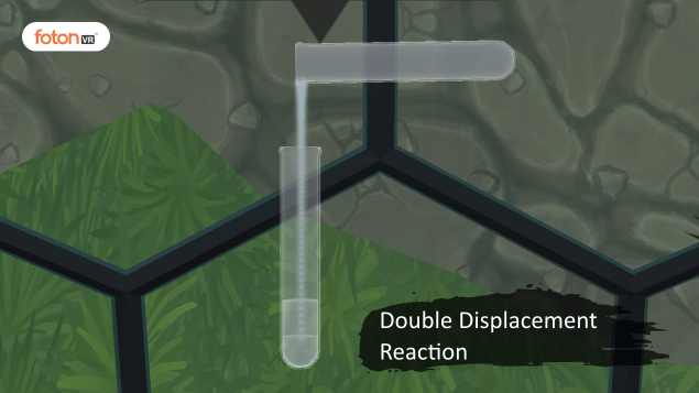 Virtual tour 5 Double Displacement reaction