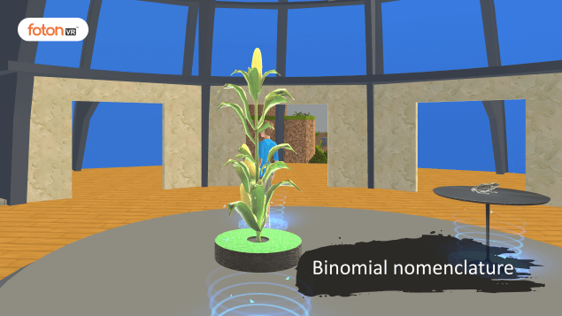 Virtual tour 6 Binomial nomenclature