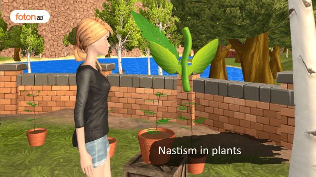 Virtual tour 6 Nastism in plants